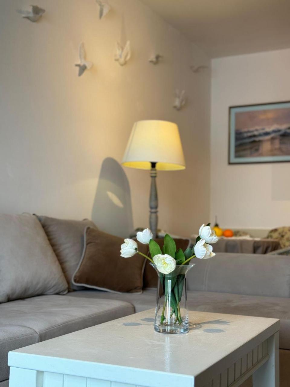 Apartmán Vikka Boka Donja Kostanjica Exteriér fotografie